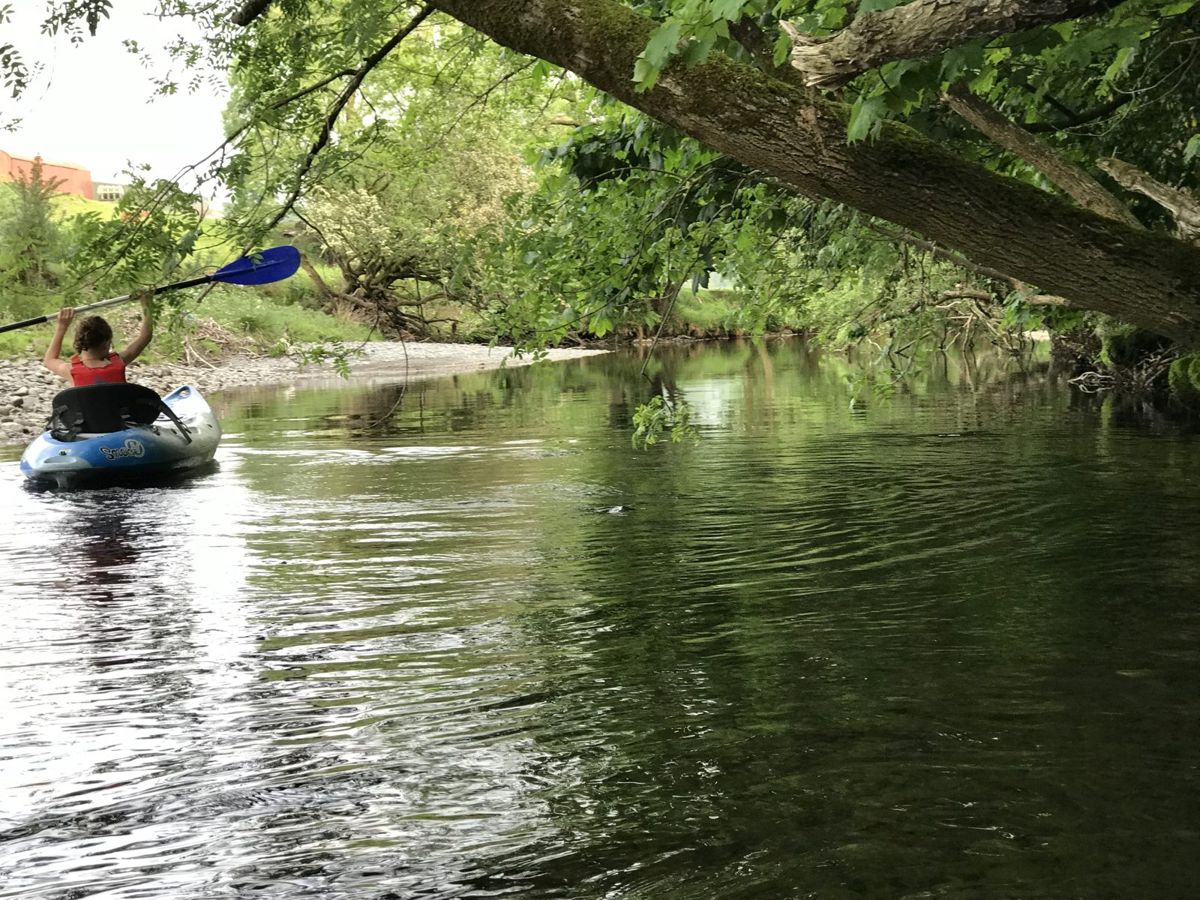 Someone paddling a kayak upstream under overhanging trees