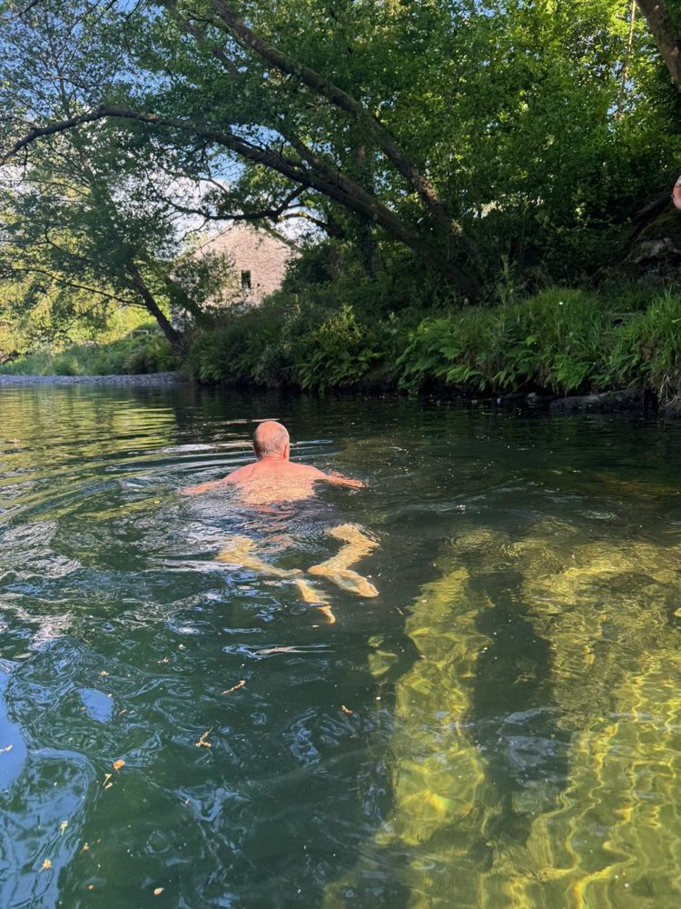 A swimmer in the river, seen from behind, under overhanging trees